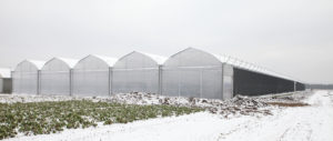 Serre-Exterieur-Nouvelle